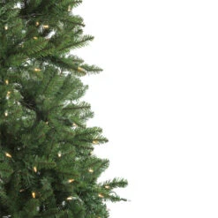 Northlight 6.5' Pre-Lit Medium Neola Fraser Fir Artificial Christmas Tree - Dual LED Lights -Christmas Decoration Store northlight sp15020 2updated 66756.1588362260