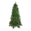 Northlight 6.5' Pre-Lit Medium Neola Fraser Fir Artificial Christmas Tree - Dual LED Lights 2 Northlight 6.5' Pre-Lit Medium Neola Fraser Fir Artificial Christmas Tree - Dual LED Lights -Christmas Decoration Store northlight sp15020updated 15765.1588362258