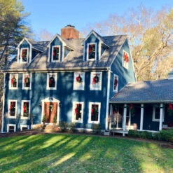 Northlight Canadian Pine Artificial Christmas Wreath, 24-Inch, Unlit -Christmas Decoration Store northlight v04268 cxpic 07513.1677579786