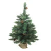 Northlight 3' Potted Royal Oregon Pine Burlap Base Full Artificial Christmas Tree - Unlit -Christmas Decoration Store northlight v15919 new 66406.1665783338