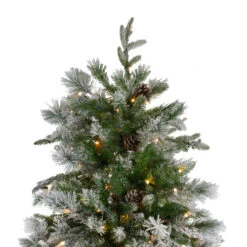 Northlight 6.5' Pre-Lit LED Full Mixed Rosemary Emerald Angel Pine Artificial Christmas Tree - Clear Lights -Christmas Decoration Store northlight v27363 3 48713.1587643979