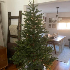 Northlight 6.5' North Pine Artificial Christmas Tree, Unlit 13 Northlight 6.5' North Pine Artificial Christmas Tree, Unlit -Christmas Decoration Store northlight v27365 cxpic v2 17083.1678185724