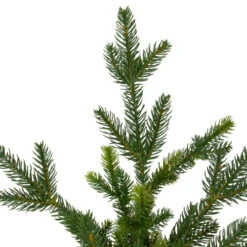 Northlight 6' Potted Noble Pine Slim Artificial Christmas Tree - Unlit 10 Northlight 6' Potted Noble Pine Slim Artificial Christmas Tree - Unlit -Christmas Decoration Store northlight v27377 2 55938.1665611932