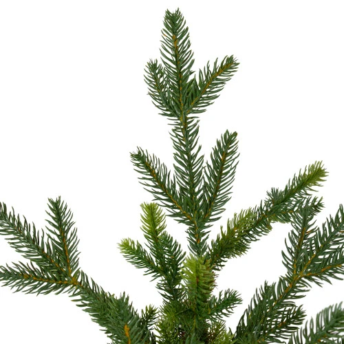 Northlight 6' Potted Noble Pine Slim Artificial Christmas Tree - Unlit 6 Northlight 6' Potted Noble Pine Slim Artificial Christmas Tree - Unlit - Image 4