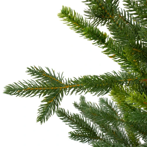 Northlight 6' Potted Noble Pine Slim Artificial Christmas Tree - Unlit 4 Northlight 6' Potted Noble Pine Slim Artificial Christmas Tree - Unlit - Image 2