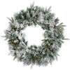 Northlight Pre-Lit Flocked Rosemary Emerald Angel Pine Artificial Christmas Wreath - 30-Inch, Clear LED Lights 2 Northlight Pre-Lit Flocked Rosemary Emerald Angel Pine Artificial Christmas Wreath - 30-Inch, Clear LED Lights -Christmas Decoration Store northlight v27390 01 50939.1692025709