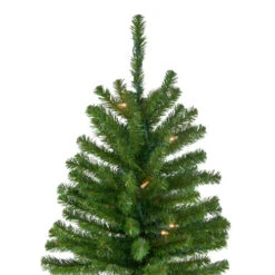 Northlight 6' Pre-Lit Pencil Alpine Artificial Christmas Tree, Clear Lights 11 Northlight 6' Pre-Lit Pencil Alpine Artificial Christmas Tree, Clear Lights -Christmas Decoration Store northlight v27436 2 53283.1665610430