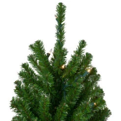 Northlight Set Of 3 Pre-Lit Slim Alpine Artificial Christmas Trees 6' - Clear Lights 9 Northlight Set Of 3 Pre-Lit Slim Alpine Artificial Christmas Trees 6' - Clear Lights -Christmas Decoration Store northlight v27437 2updated 55998.1665610744