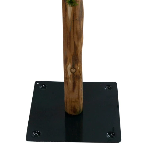 Northlight Set Of 3 Pre-Lit Slim Alpine Artificial Christmas Trees 6' - Clear Lights 7 Northlight Set Of 3 Pre-Lit Slim Alpine Artificial Christmas Trees 6' - Clear Lights - Image 5