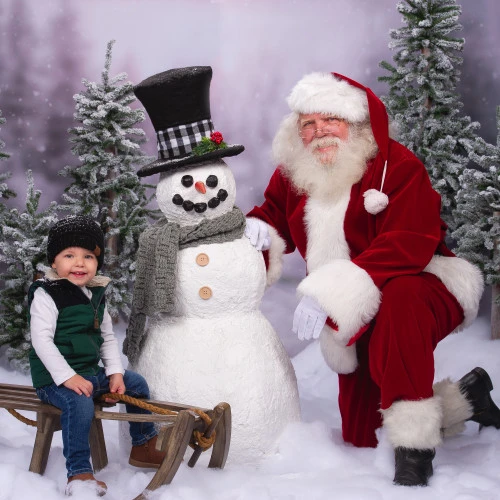 Northlight Set Of 3 Flocked Alpine Artificial Christmas Trees - Unlit 8 Northlight Set Of 3 Flocked Alpine Artificial Christmas Trees - Unlit - Image 6