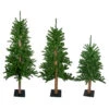 Northlight Set Of 3 Alpine Artificial Christmas Trees 3', 4'and 5'- Unlit 1 Northlight Set Of 3 Alpine Artificial Christmas Trees 3', 4'and 5'- Unlit -Christmas Decoration Store northlight v27452 14527.1588358961