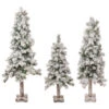 Northlight Set Of 3 Slim Flocked Alpine Artificial Christmas Trees 5' - Unlit -Christmas Decoration Store northlight ynt775 fk updated 54616.1657129358