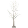 Northlight 4' Pre-Lit LED White Birch Tree Outdoor Decoration - White Lights 1 Northlight 4' Pre-Lit LED White Birch Tree Outdoor Decoration - White Lights -Christmas Decoration Store northlightd 14 38471wae 59014.1587644044