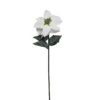 Northlight 28" Green And White Artificial Poinsettia Stem Christmas Pick 2 Northlight 28" Green And White Artificial Poinsettia Stem Christmas Pick -Christmas Decoration Store nucqctmjtrtoxbrbmimsrqcndfkattyp 05547.1588411195