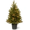 Christmas Central 3' Pre-lit Potted Jersey Fraser Fir Artificial Christmas Tree, White LED Lights 1 Christmas Central 3' Pre-lit Potted Jersey Fraser Fir Artificial Christmas Tree, White LED Lights -Christmas Decoration Store pejf1 306 30 b 38772.1664380271