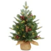 Christmas Central 2' Pre-lit Potted Nordic Spruce Artificial Christmas Tree, Warm White LED Lights -Christmas Decoration Store pens1 355 20 b1 40032.1665519662