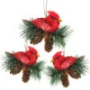 Northlight Set Of 3 Red Cardinal Birds On Pine Cone Nest Christmas Ornaments 5" 2 Northlight Set Of 3 Red Cardinal Birds On Pine Cone Nest Christmas Ornaments 5" -Christmas Decoration Store sieis41phcoqmkdsptk0vj3zfgcpsvr8 06397.1588389041