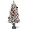 Christmas Central 4’ Pre-Lit Potted Snowy Bristle Pine Artificial Christmas Tree, Clear Lights 2 Christmas Central 4’ Pre-Lit Potted Snowy Bristle Pine Artificial Christmas Tree, Clear Lights -Christmas Decoration Store snp7 308 40 88210.1588348967