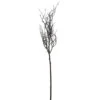 Northlight 43" Brown And White Frosted Artificial Christmas Poplar Tree Branch -Christmas Decoration Store u3akkdbyg9ghvpvx51qlbzglhsgdpw2s 90406.1588415500