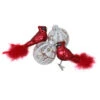 Northlight 4ct Red And White Cardinal Birds Glass Finish Christmas Ball Ornaments 6.25" (155mm) 2 Northlight 4ct Red And White Cardinal Birds Glass Finish Christmas Ball Ornaments 6.25" (155mm) -Christmas Decoration Store vikhop7adf1mvxjakadfhzhct7rhk9ww 34042.1588369538