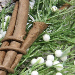 24" White Berries And Pinecones Artificial Christmas Wreath - Unlit 8 24" White Berries And Pinecones Artificial Christmas Wreath - Unlit -Christmas Decoration Store zlq0wcrz3vmknojakcgau2kq4uly8syr 72308.1588371212